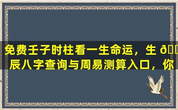 免费壬子时柱看一生命运，生 🐱 辰八字查询与周易测算入口，你了解 🌿 多少